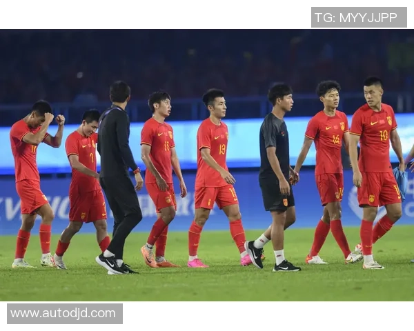 杭州排球队勇攀高峰洲际杯征程中的辉煌与挑战